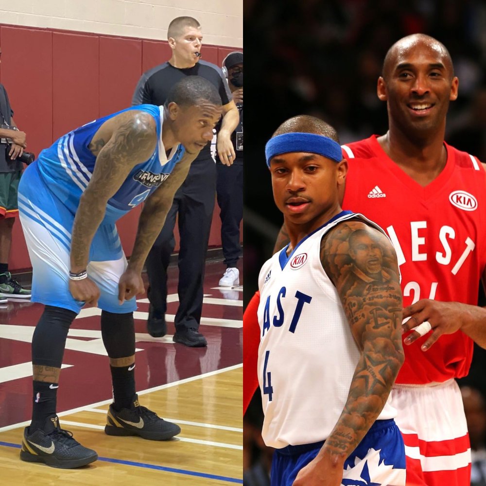 雄鹿泰然应 雄鹿泰然应